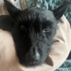 001_(axel)___napping_cu_ely