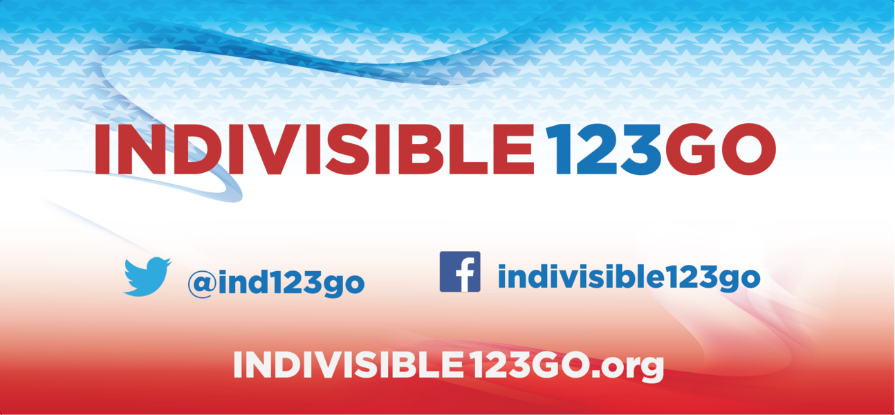 Indivisible_123go_banner_screenshot