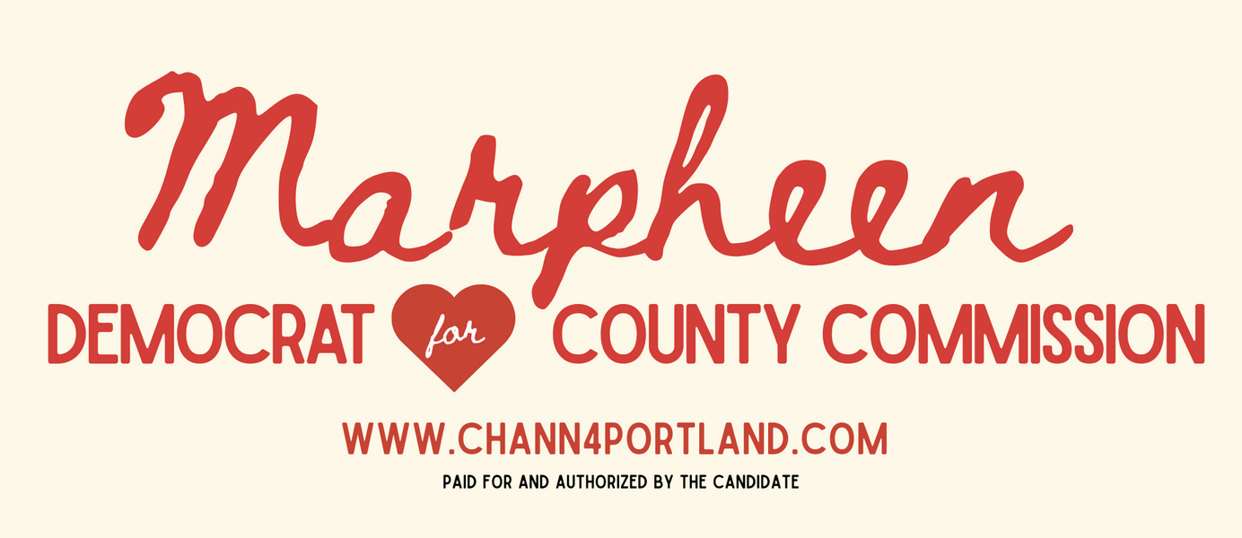 Chann for County Commission Banner