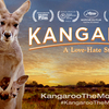 Kangaroo_fb-banner-v4