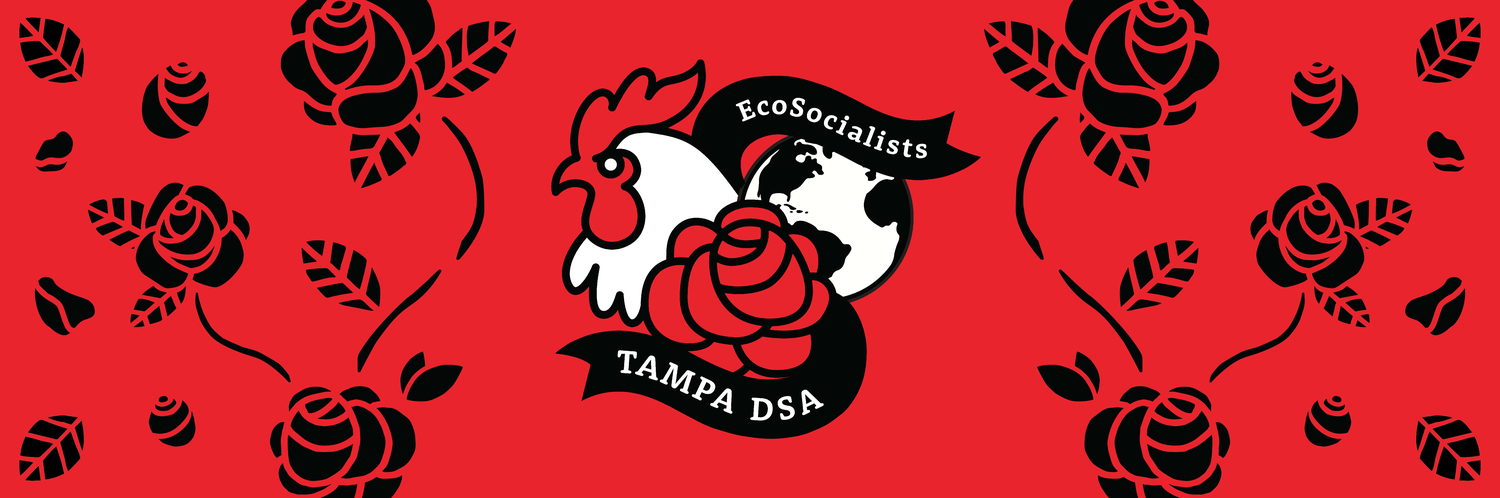 DSA EcoSocialist Working Group - Sample Banner