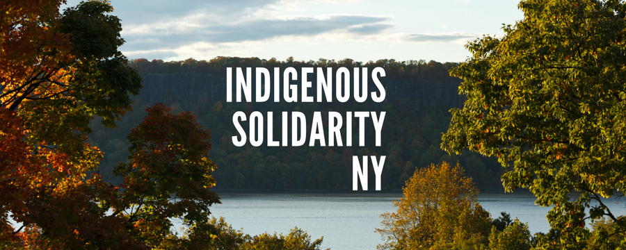 photo of the Hudson river with fall foliage from the new york side framing the Palisades, with text "indigenous solidarity ny" at the center of the image