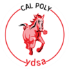 Ydsa_logo
