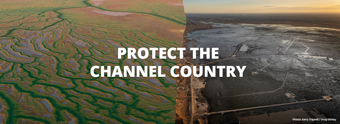 Photos: Kerry Trapnell / Doug Gimesy