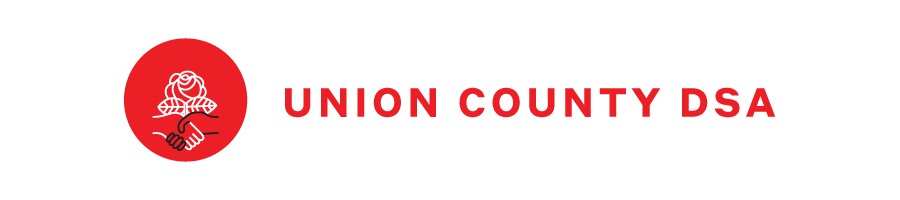 Union County DSA