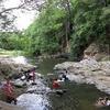 Currumbin_creek