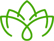 National Queer Asian Pacific Islander Alliance