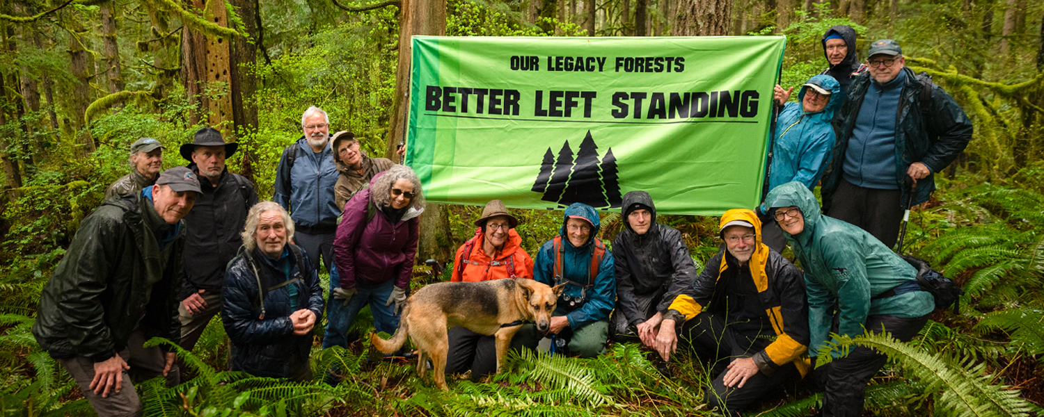 Fifteen hikers and a dog pose for a photo in the woods. Two hold up a large green banner that reads, "OUR LEGACY FORESTS - BETTER LEFT STANDING."