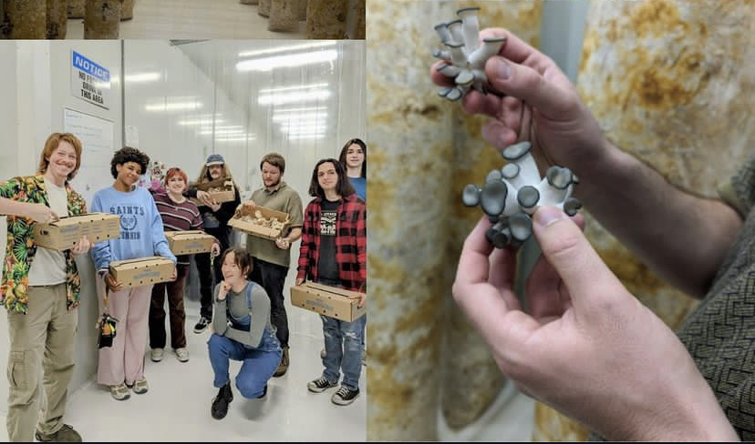 Members of the USM Mushroom Society visiting Slowpoke Farms in Hattiesburg, MS. 