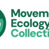 Logotype-collective_(more_space