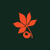Wg_ohio_social