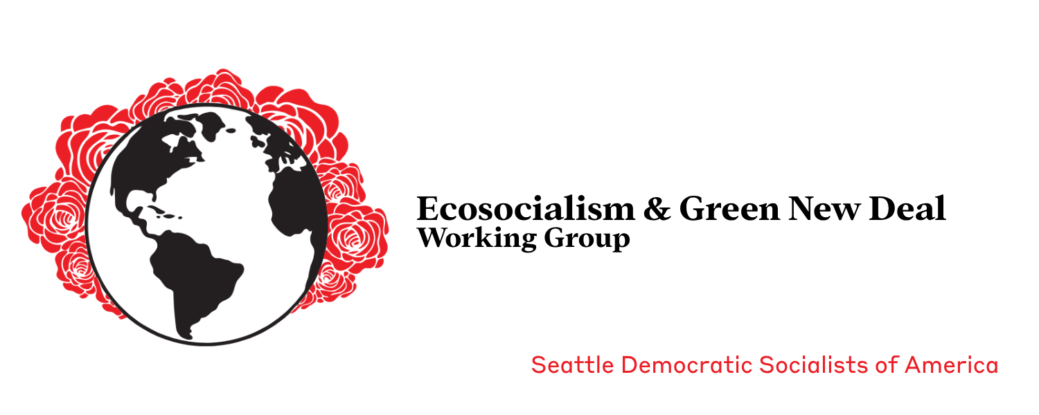 The Seattle Democratic Socialists of America Ecosocialism and Green New Deal Working Group Banner and Logo