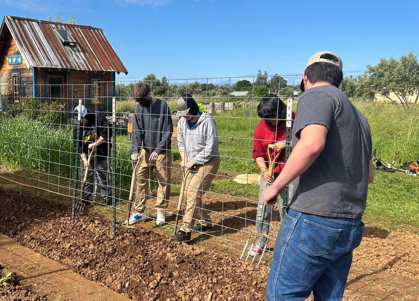 Youth preparing garden beds in spring for summer tomatoes.