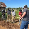 Spring_bed-prep2