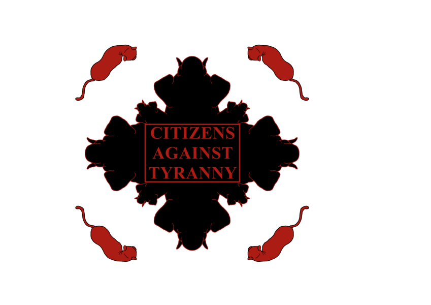 When Democracy Works