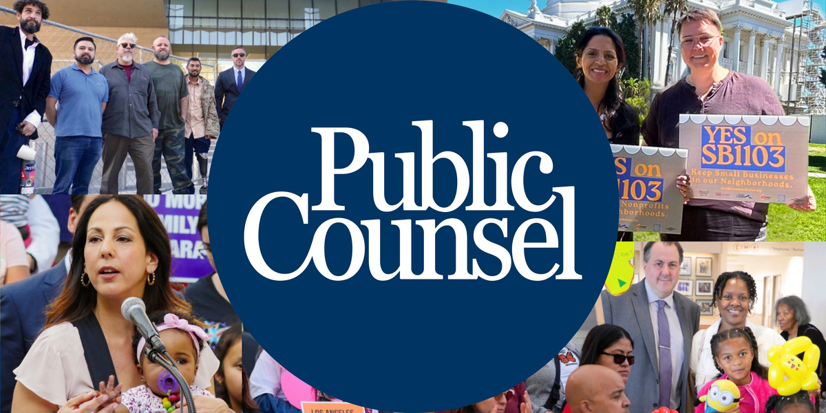 Migration is beautiful—Public Counsel banner