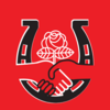 Bgdsa_logo_blank.taylor