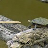_mg_8435_(2)_1_