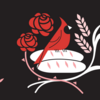 Long_header_-_nova_labor