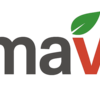 Logo_primavera