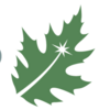 Menlo_spark_logo_leaf
