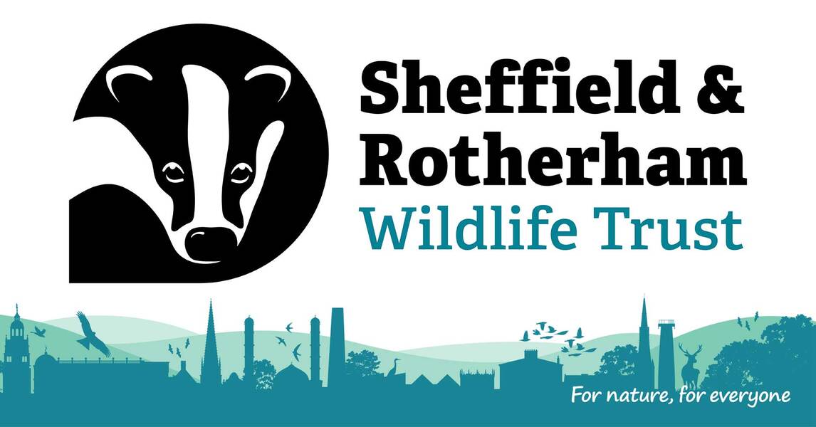 Sheffield and Rotherham Wildlife Trust banner image, comprising of the badger in a circle logo and the trusts name, above a silouette of a city scape in from of sweeping hills. The slogan 'For nature, for everyone' is in the bottom right-hand corner.