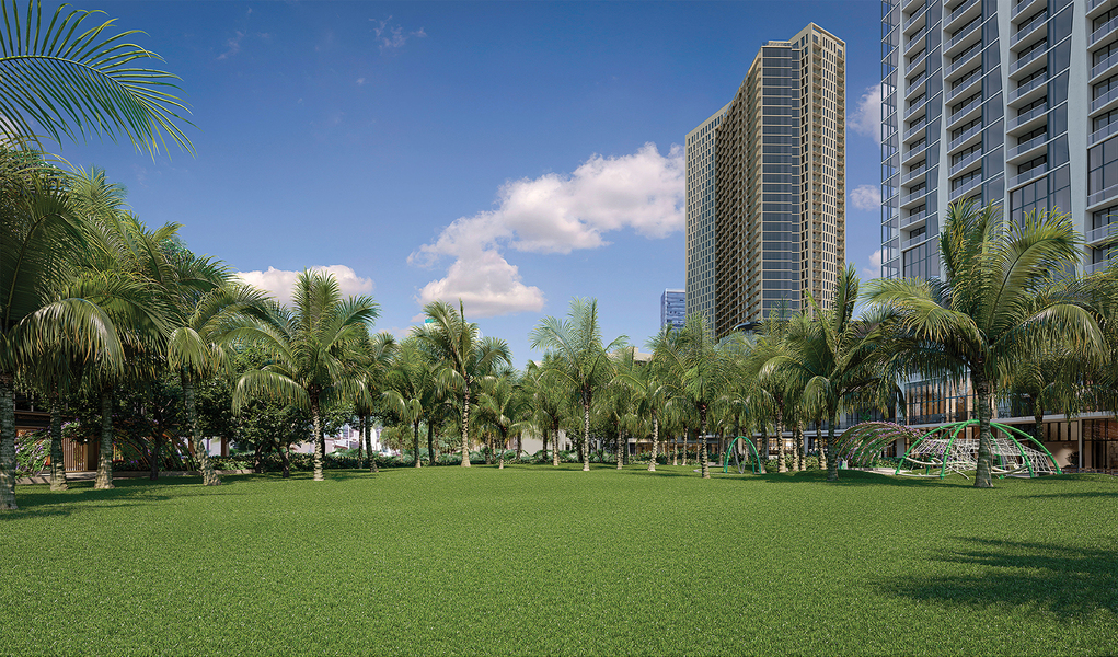 Victoria Ward Park Mauka