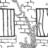 Wildivybanner_(1)