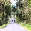Img_4_joggers_fh_drive_color_sebpow