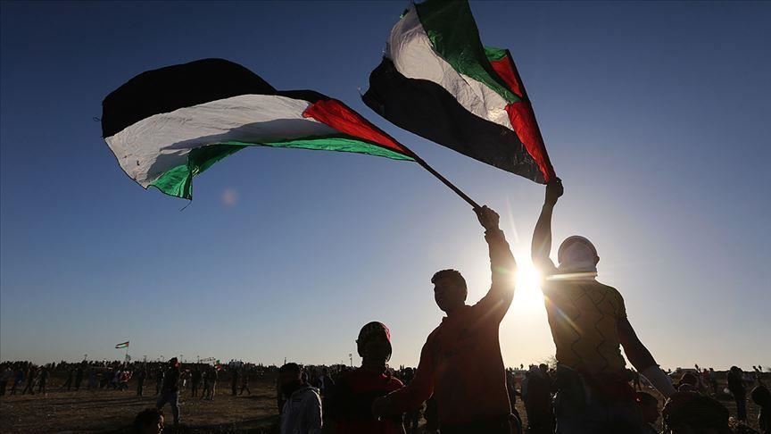 Pressure The Canadian Government To Condemn Israel Protect Palestine 