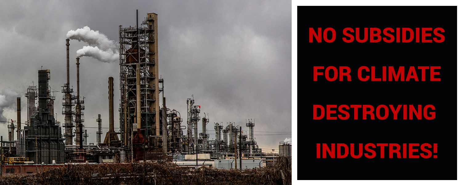 No Fossil Fuel or Petrochemical Subsidies in Reconciliation Bill