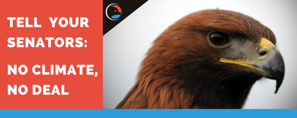 Tell Your Senators: No Climate, No Deal