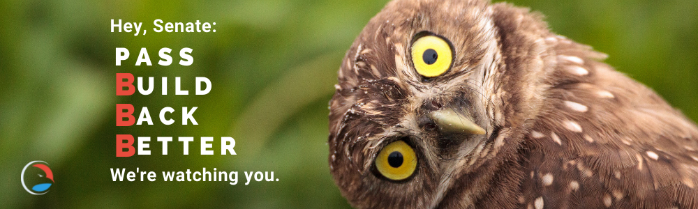 Hey, Senate: Pass Build Back Better. We're watching you.