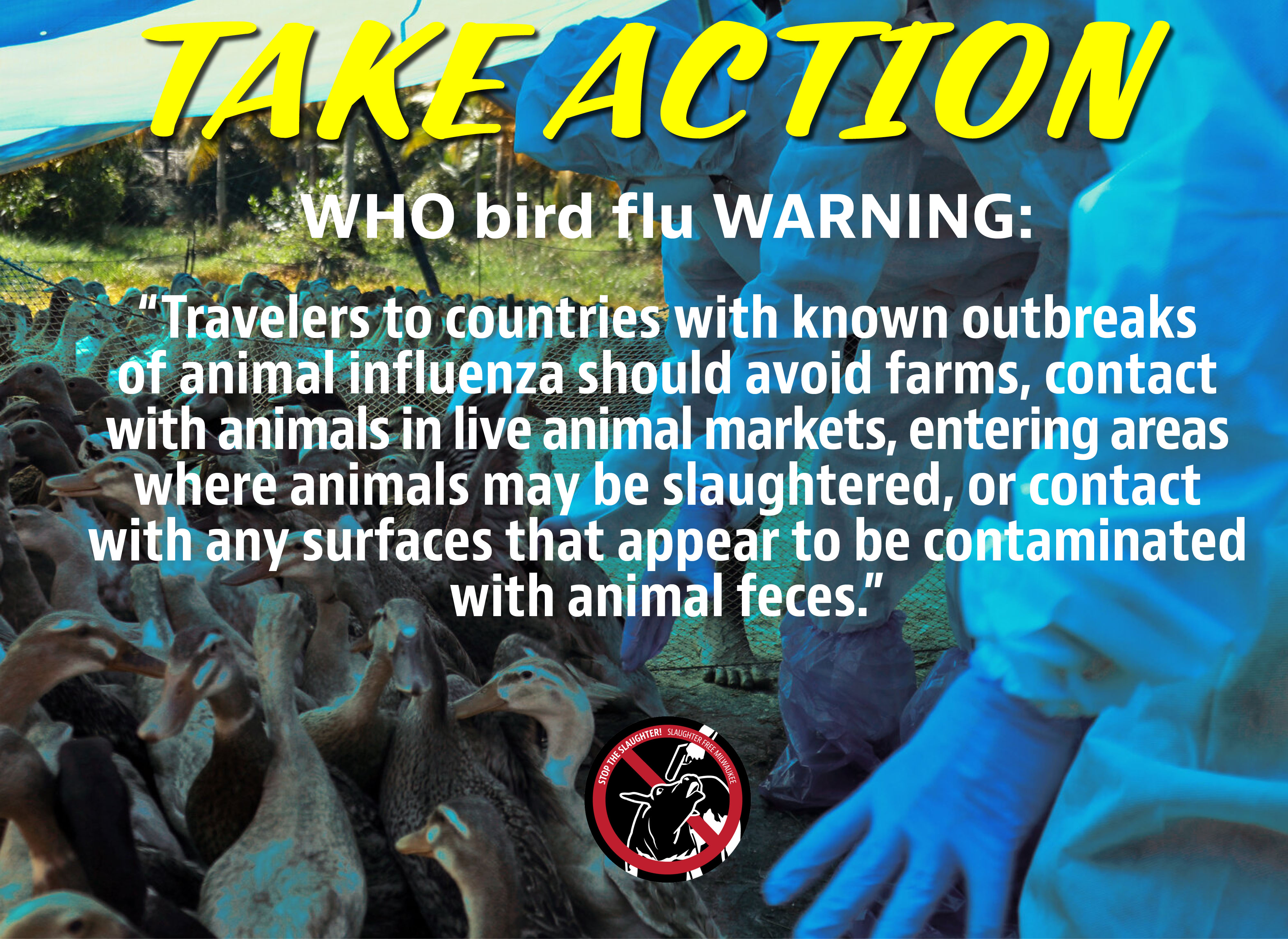 WHO statement on bird flu