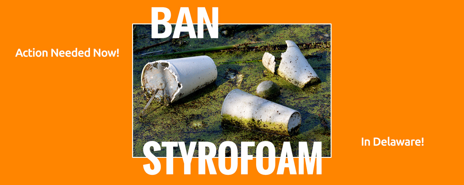 Tell your Delaware Legislators to take action on Styrofoam.