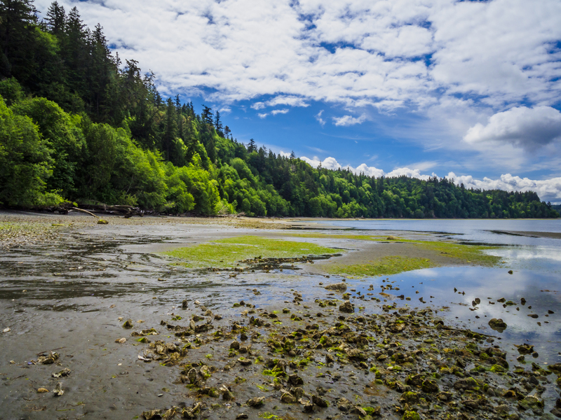 Support the expansion of Dabob Bay Conservation Area! - Action Network