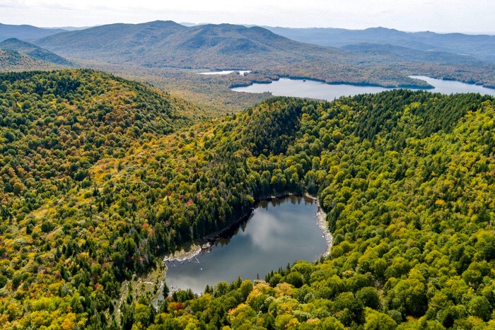 A picture looking at sunlit fall hardwood forest across a reservoir.