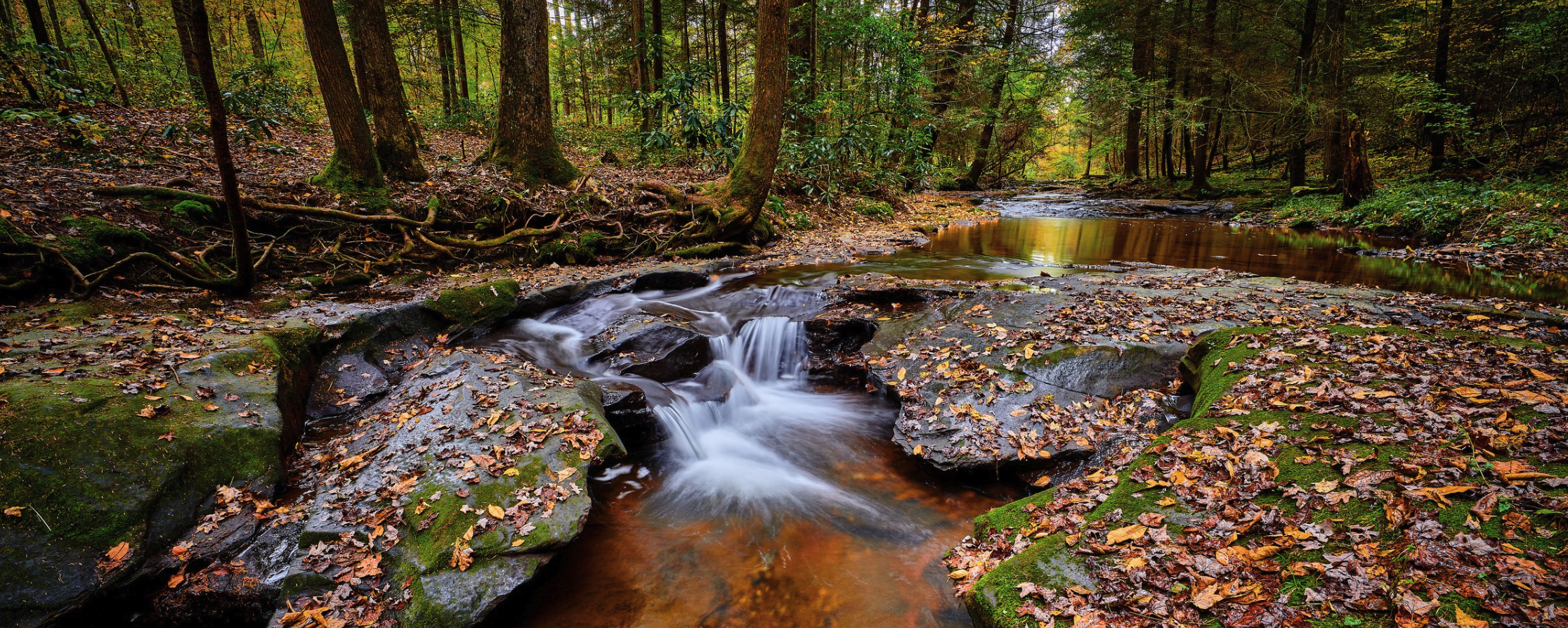 Small waterfall on Flat Lick Creek near Gray Hawk, KY.