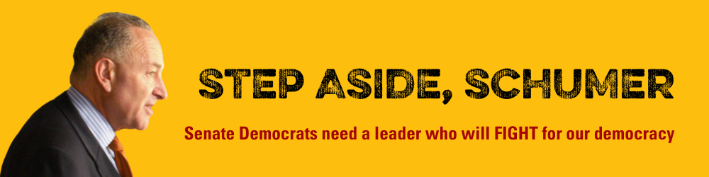 Senator Chuck Schumer must step down as Minority Leader so Democrats can choose someone who will fight back.
