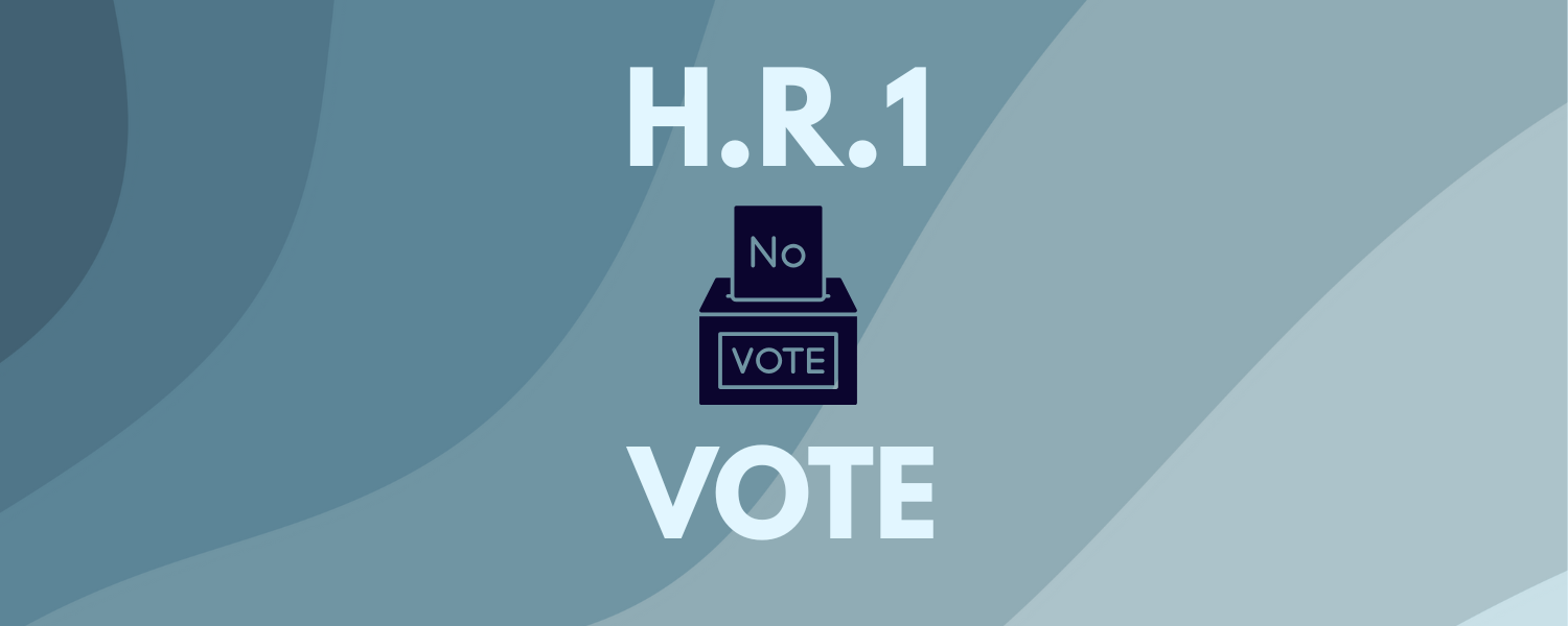 Write a letter of thanks to your Members of Congress who voted against the Big Bad Budget bill