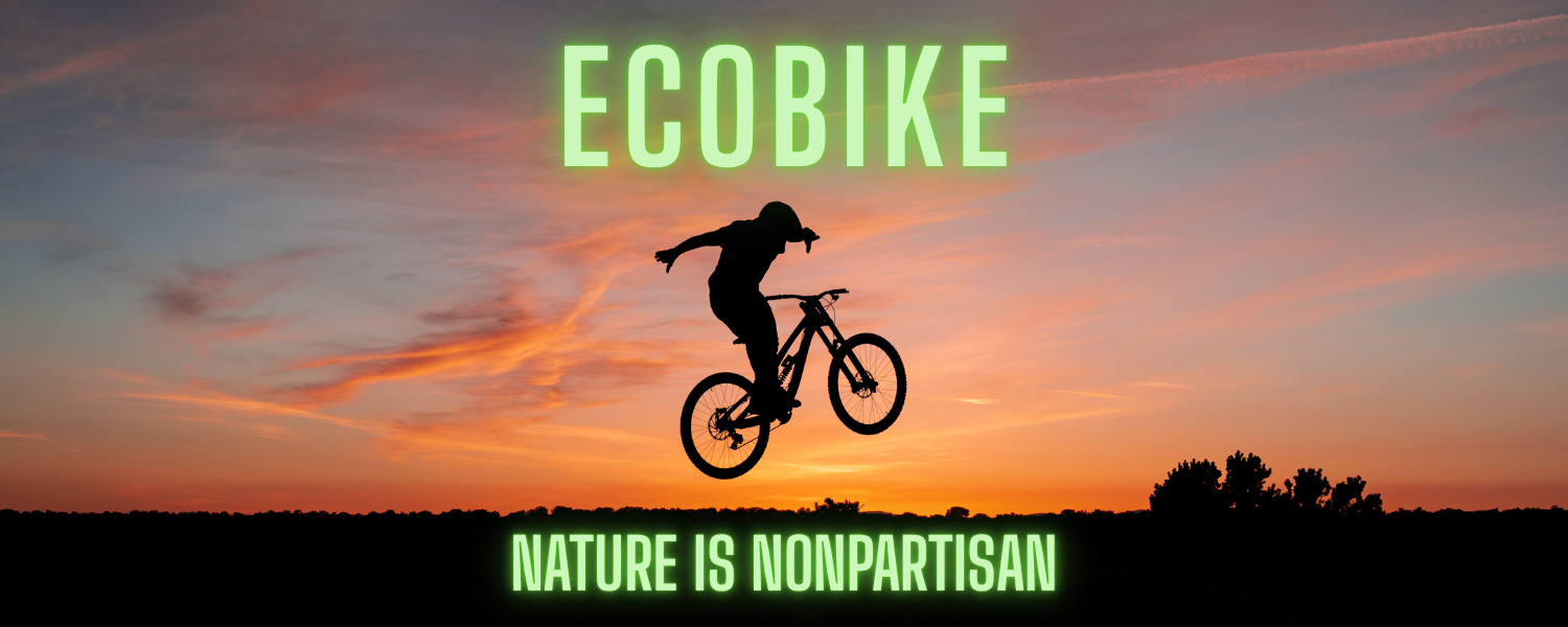 daniel jackson, daniel jackson entrepreneur, daniel jackson ecobike
