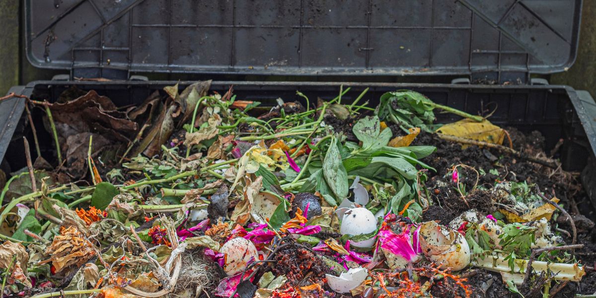 close-up of a full compost bin