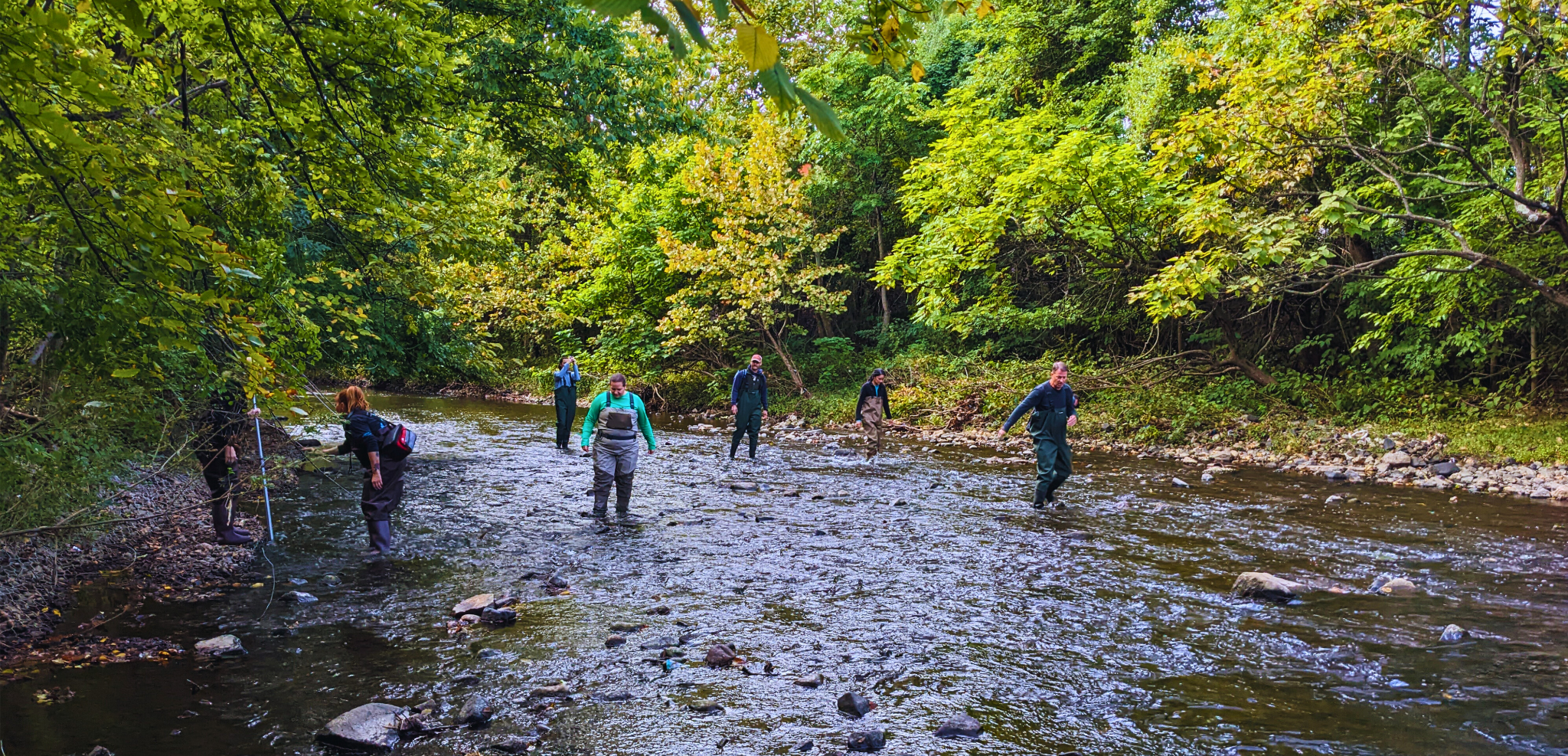BWB volunteers surveying the Jones Falls stream