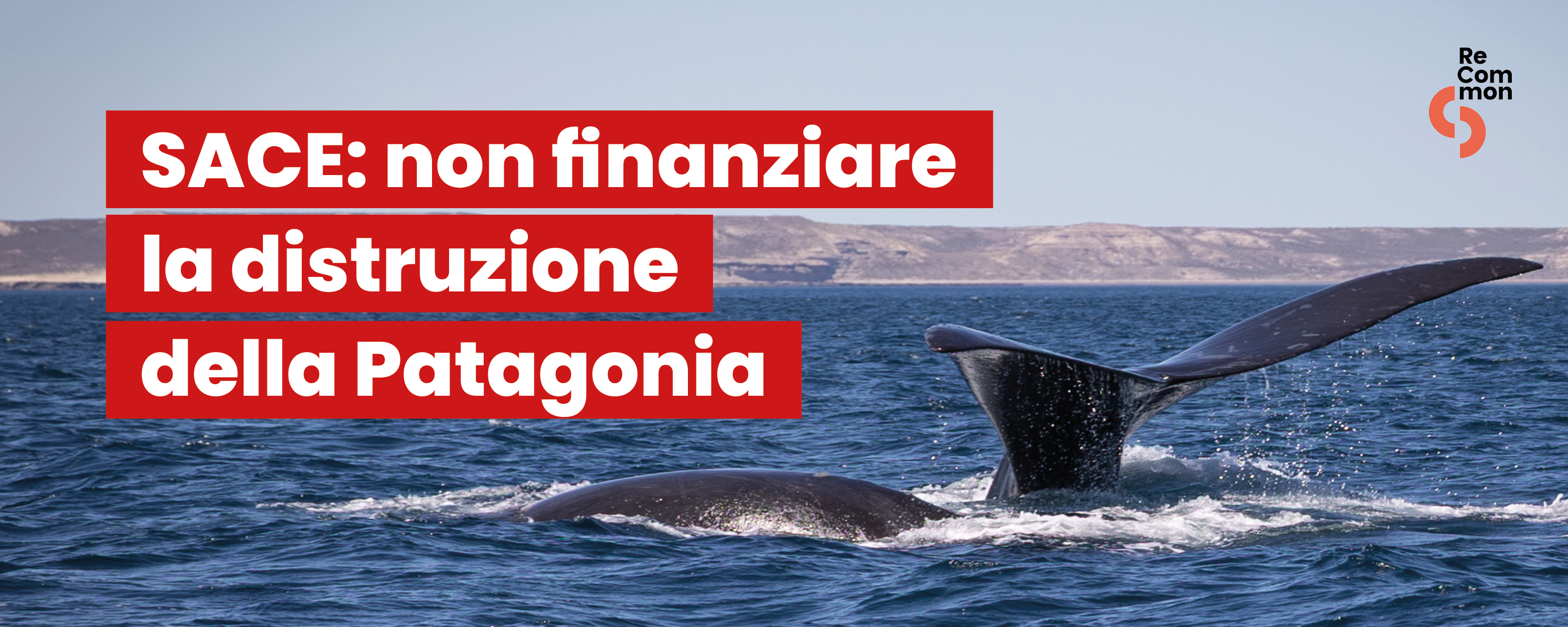 SACE: non finanziare la distruzione della Patagonia