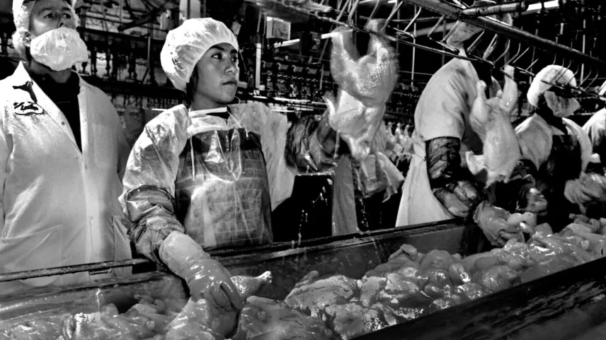 Workers at poultry factory.