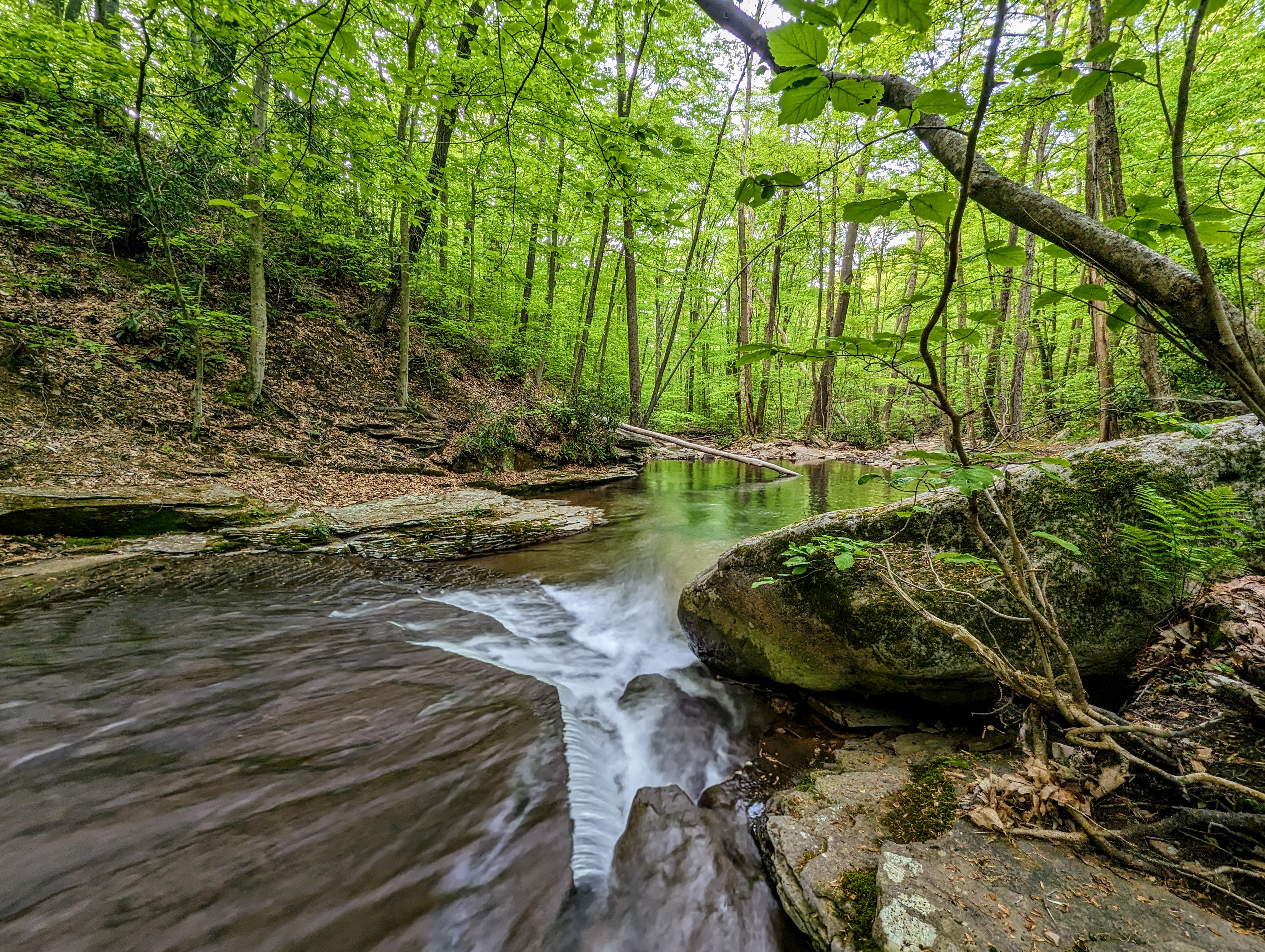 Blue Hole Creek in the summer