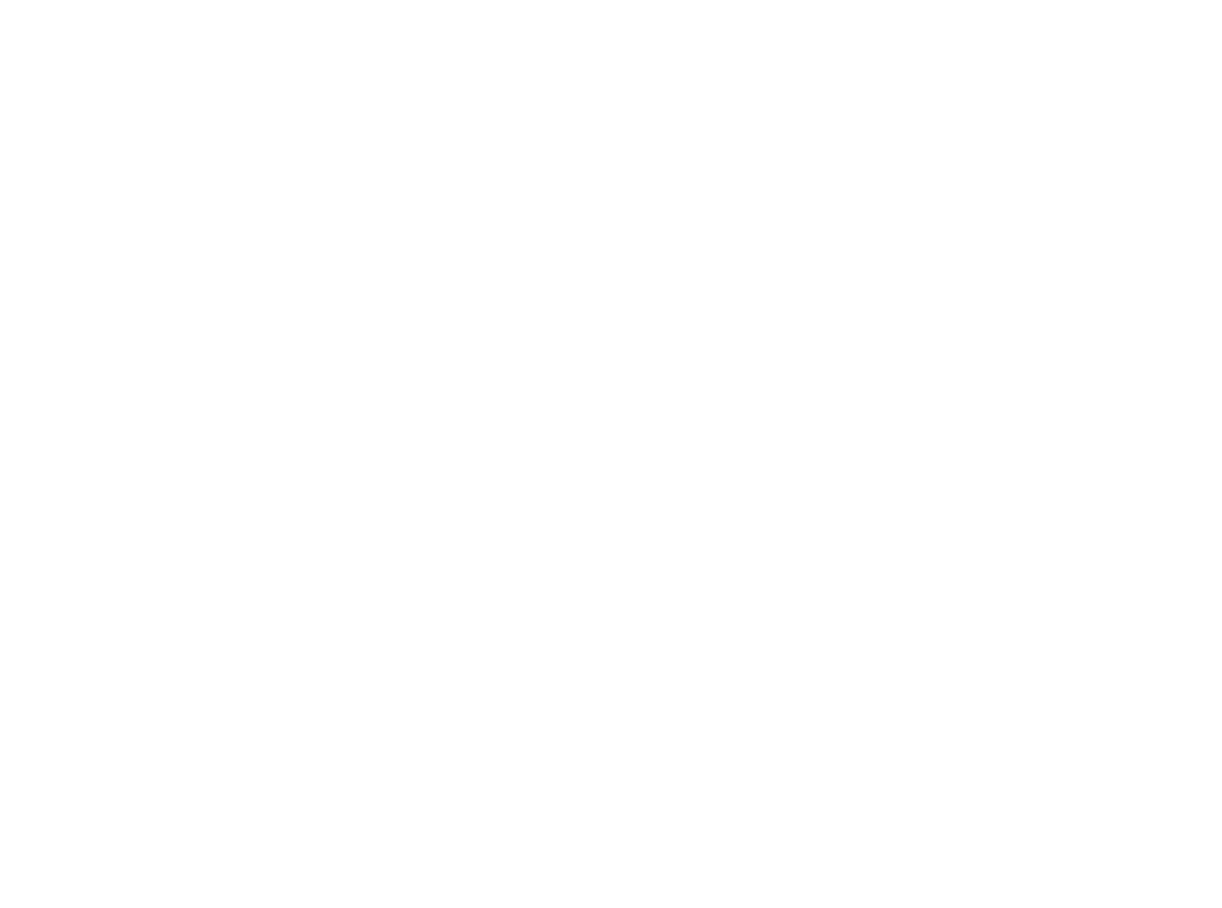 The Youth Climate Action Team