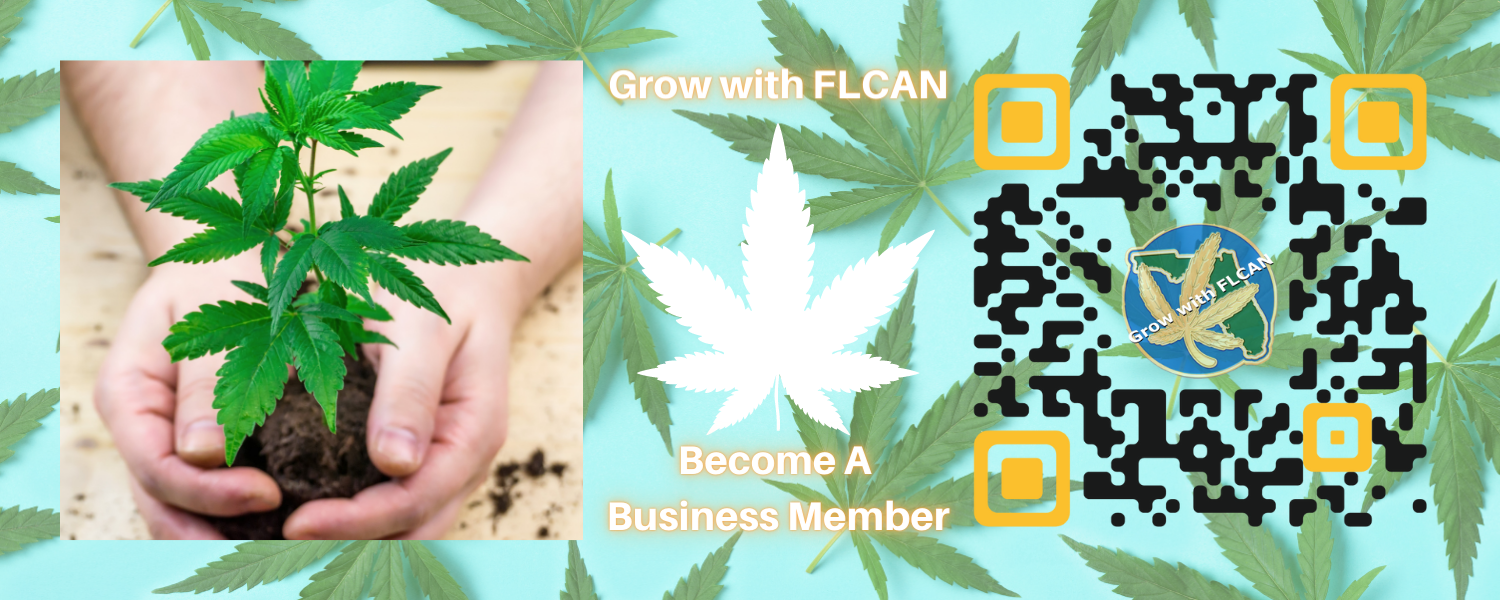 Florida Cannabis Action Network