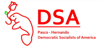 Pasco-Hernando DSA
