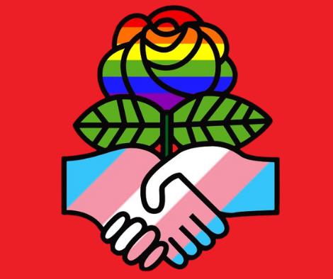 STL DSA Community Committee